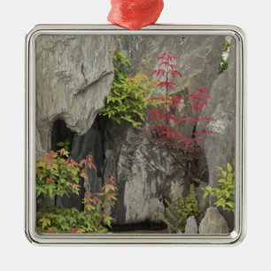 Bao's family garden, Huangshan, China. Metal Ornament