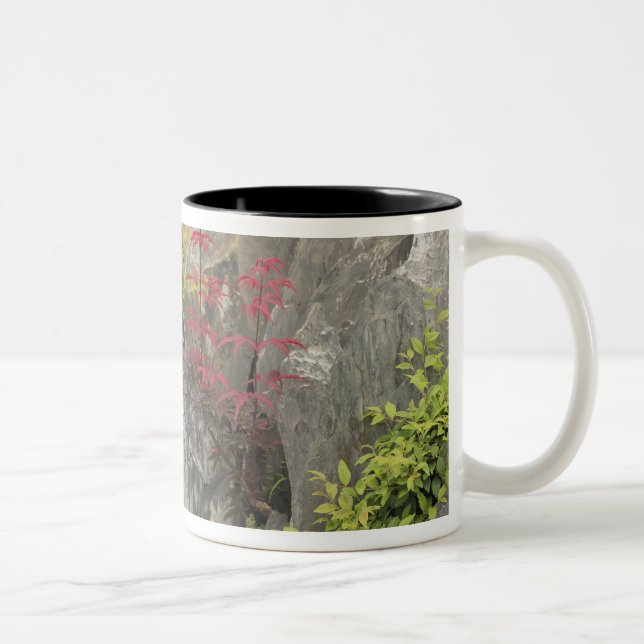 Bao's family garden, Huangshan, China. Two-Tone Coffee Mug (Right)