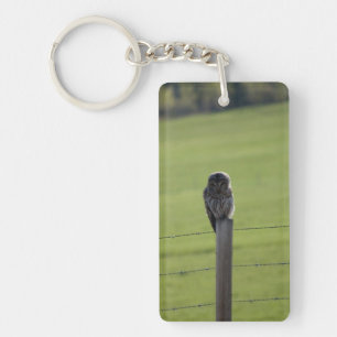 BAOW Barred Owl Keychain