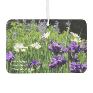 Baptisia, White & Blue Siberian Iris Air Freshener