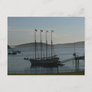 Bar Harbour- The Margaret Todd Postcard