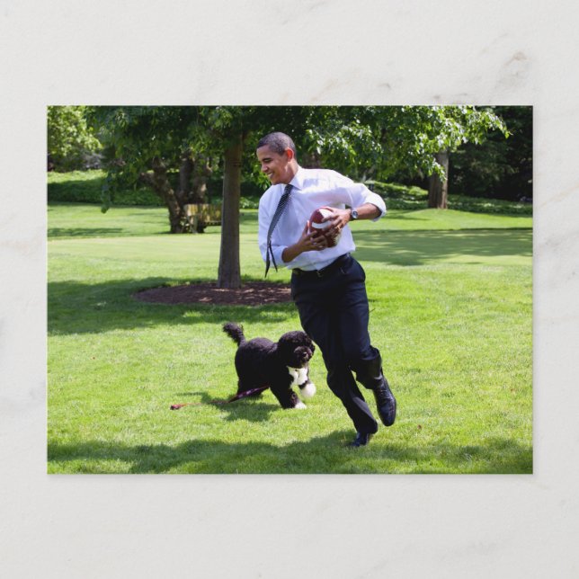 Barack & Bo Obama Postcard (Front)