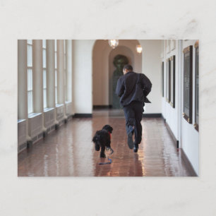 Barack & Bo Obama Postcard