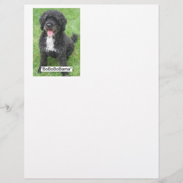 Barack Obama Portuguese Water Dog (Front)