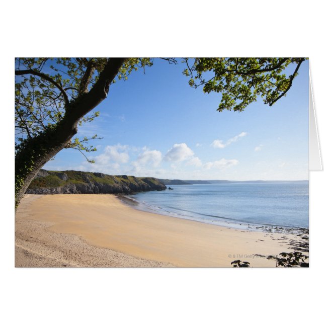 Barafundle Bay Pembroke Côte Pembrokeshire (Devant horizontal)