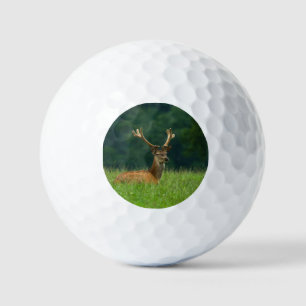 Barasingha deer golf balls