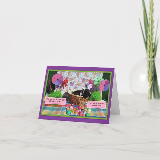 Baratin à Bunnies  (Devant)