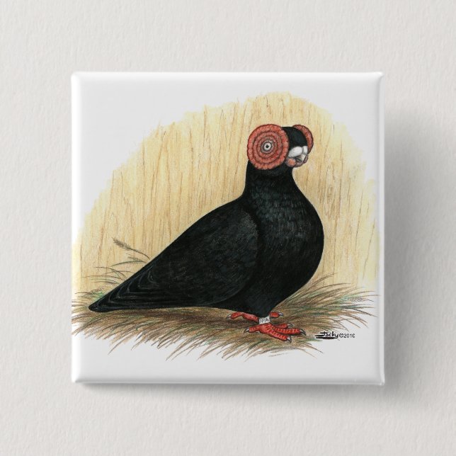 Barb Pigeon Standard Black 2 Inch Square Button (Front)