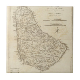 Barbadoes Tile