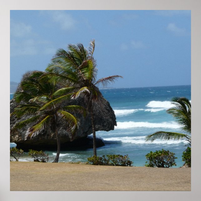 Barbados Beauty Poster (Front)