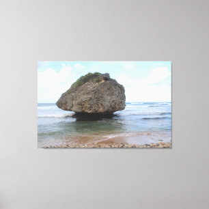 Barbados Big Rock in Bathsheba  Canvas Print