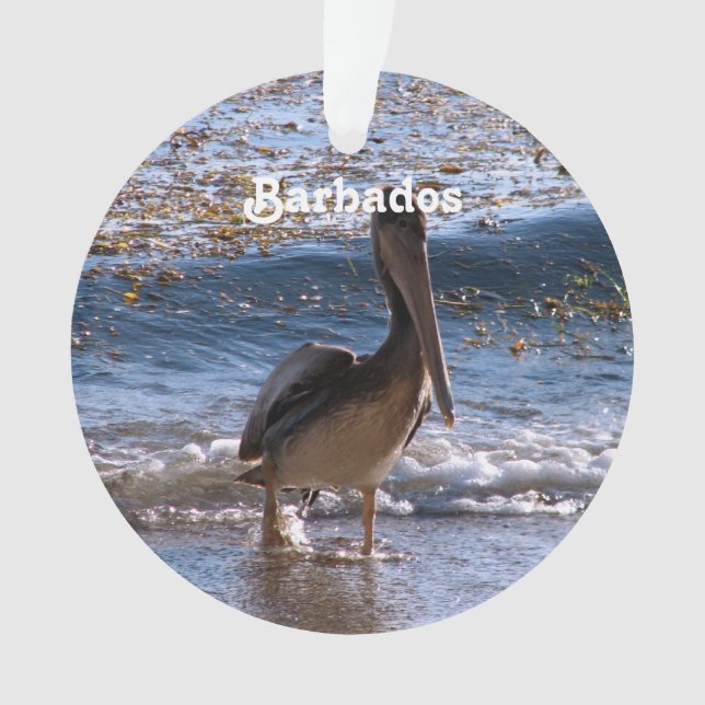 Barbados Brown Pelican Ornament (Front)