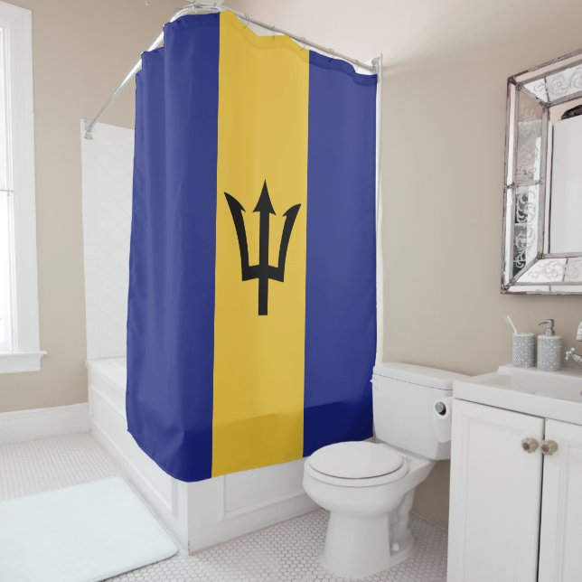 Barbados flag (In Situ)
