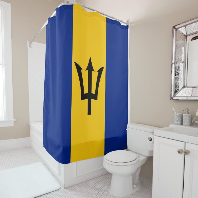 Barbados  Flag (In Situ)