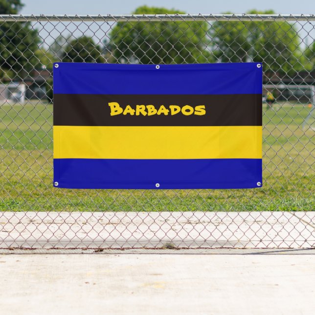 Barbados Flag Stripe Colours   Banner (Insitu)