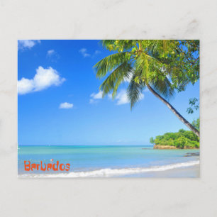Barbados Postcard