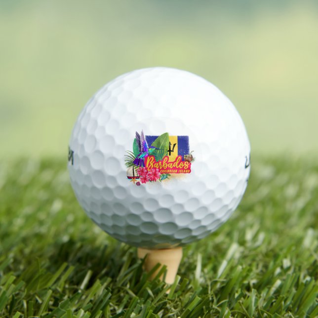Barbados Retro Caribbean Vintage Island Souvenir Golf Balls (Insitu Tee)