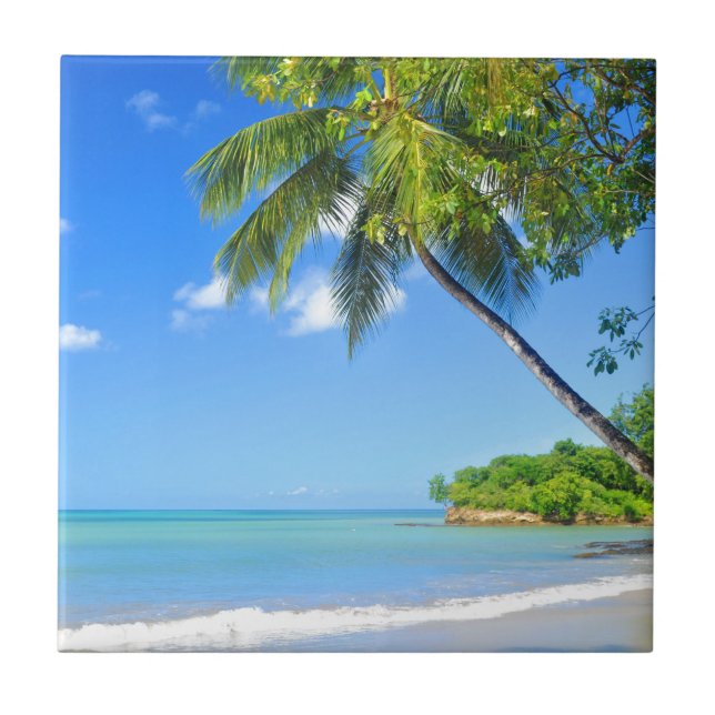 Barbados Tile (Front)