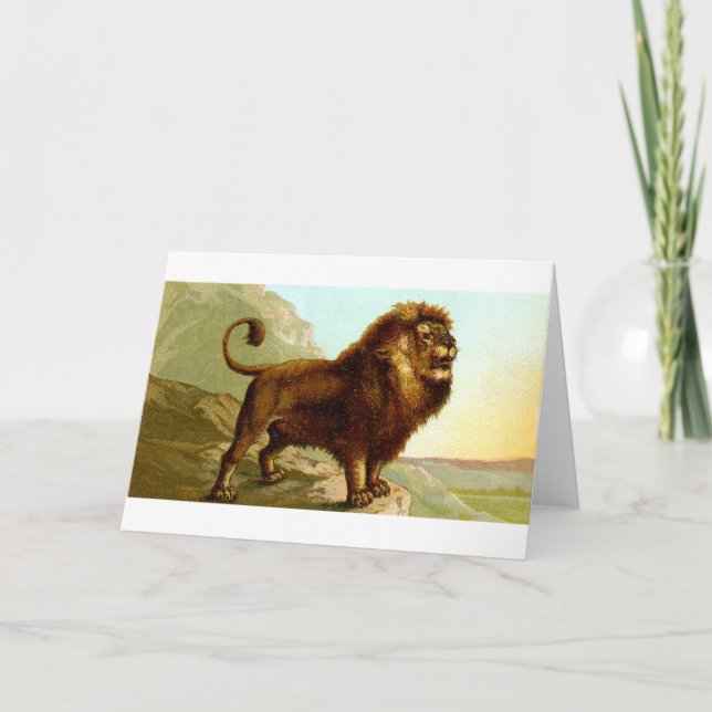 Barbary Lion Card (Front)