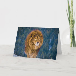 Barbary Lion (digital) Card