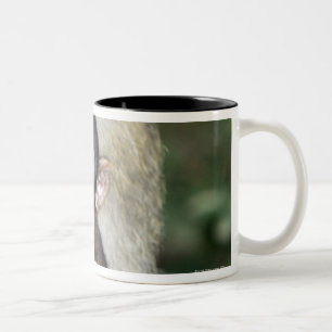 Barbary Macaque . Adulte with babyMacaca Two-Tone Coffee Mug