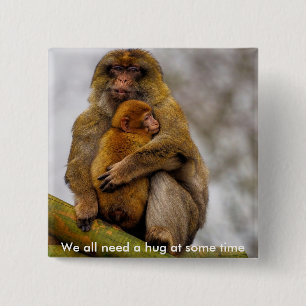 Barbary macaque mum and baby 2 inch square button