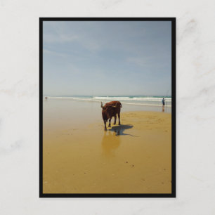 Barbate, Andalusia (Spain) Postcard