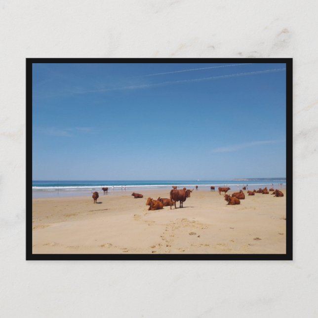 Barbate, Andalusia (Spain) Postcard (Front)