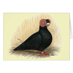 Barbe : Noir standard