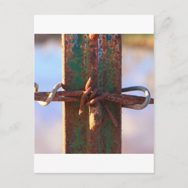 Barbed Wire and Rust Cross Postcard (Front)