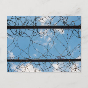 Barbed Wire At Amna Suraka Postcard
