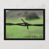 Barbed Wire Fence Carmel Valley, CA Postcard