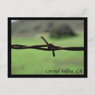 Barbed Wire Fence Carmel Valley, CA Postcard
