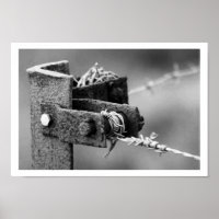 Barbed-Wire Fence Corner Post