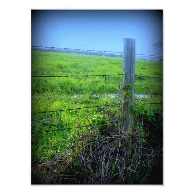 Barbed Wire Fence Photo Print (Front)