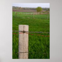 Barbed Wire Fence Post