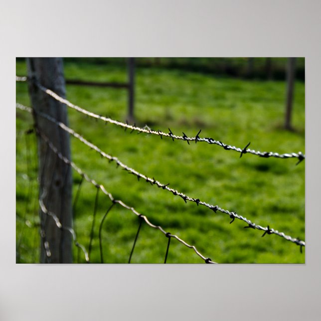 Barbed Wire Fence Poster (Front)