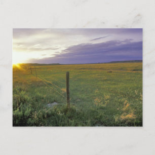 Barbed Wire Fenceline in northeastern Montana Postcard