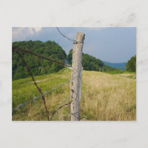 Barbed Wire Fencepost Postcard