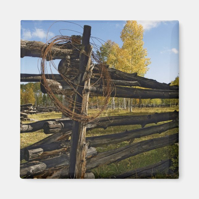 Barbed Wire Magnet (Front)