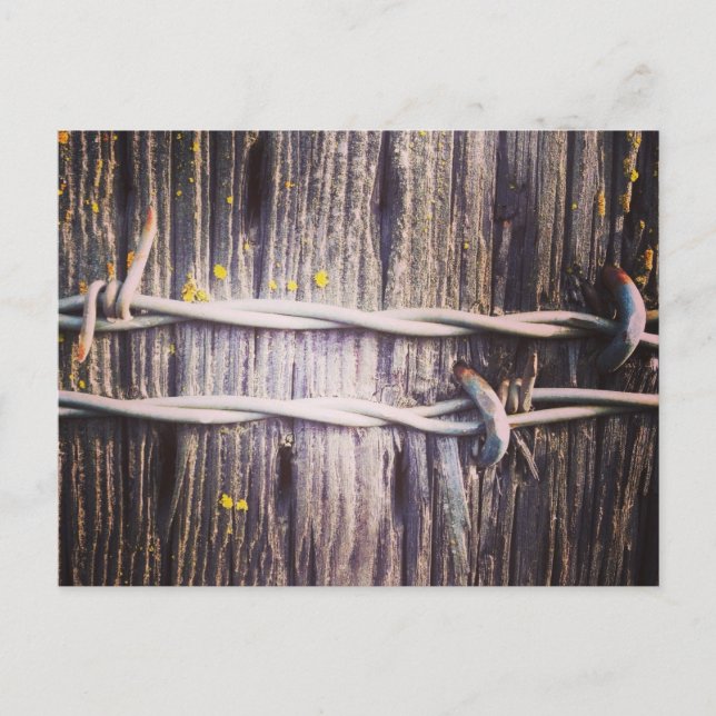 Barbed Wire & Oak Texture Postcard (Front)