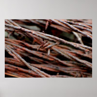 Barbed Wire