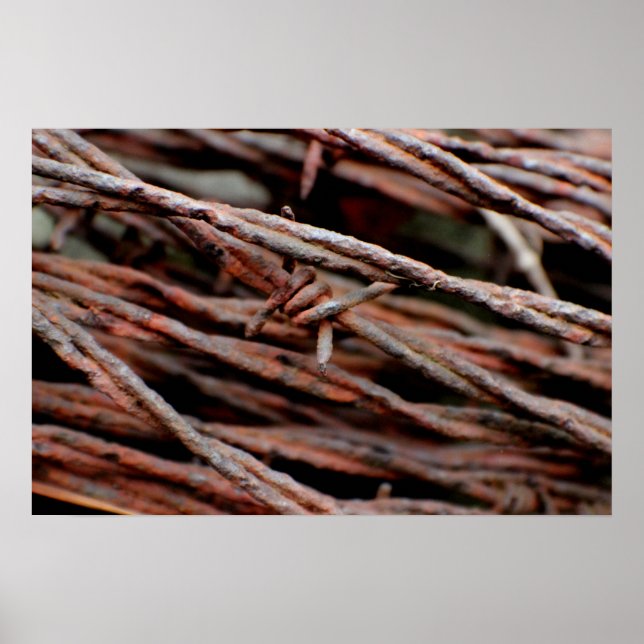 Barbed Wire Poster (Front)