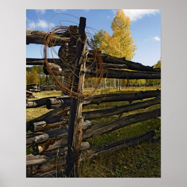 Barbed Wire Poster (Front)