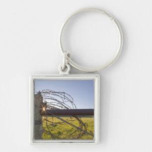 Barbed wire rolled up on fencerow near keychain