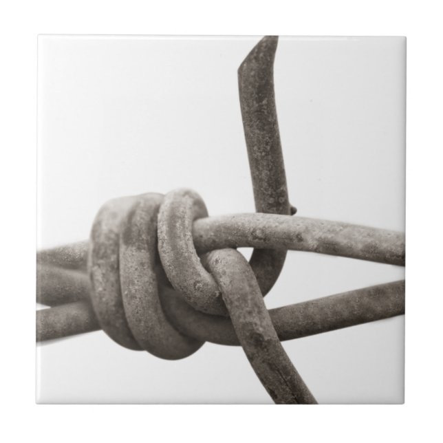 Barbed wire tile (Front)