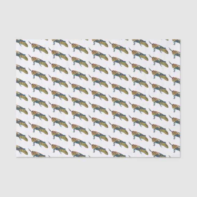 Barber pole grasshopper cartoon illustration  tissue paper (Front)