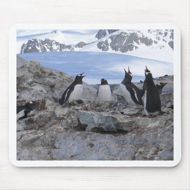 Barbershop quartet mouse pad (Front)