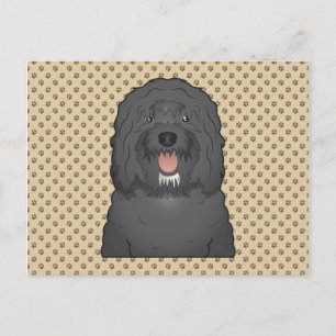 Barbet Cartoon Postcard