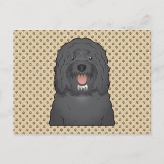 Barbet Cartoon Postcard